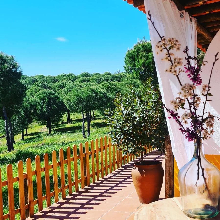 Herdade Do Rio Torto Portel Luaran gambar