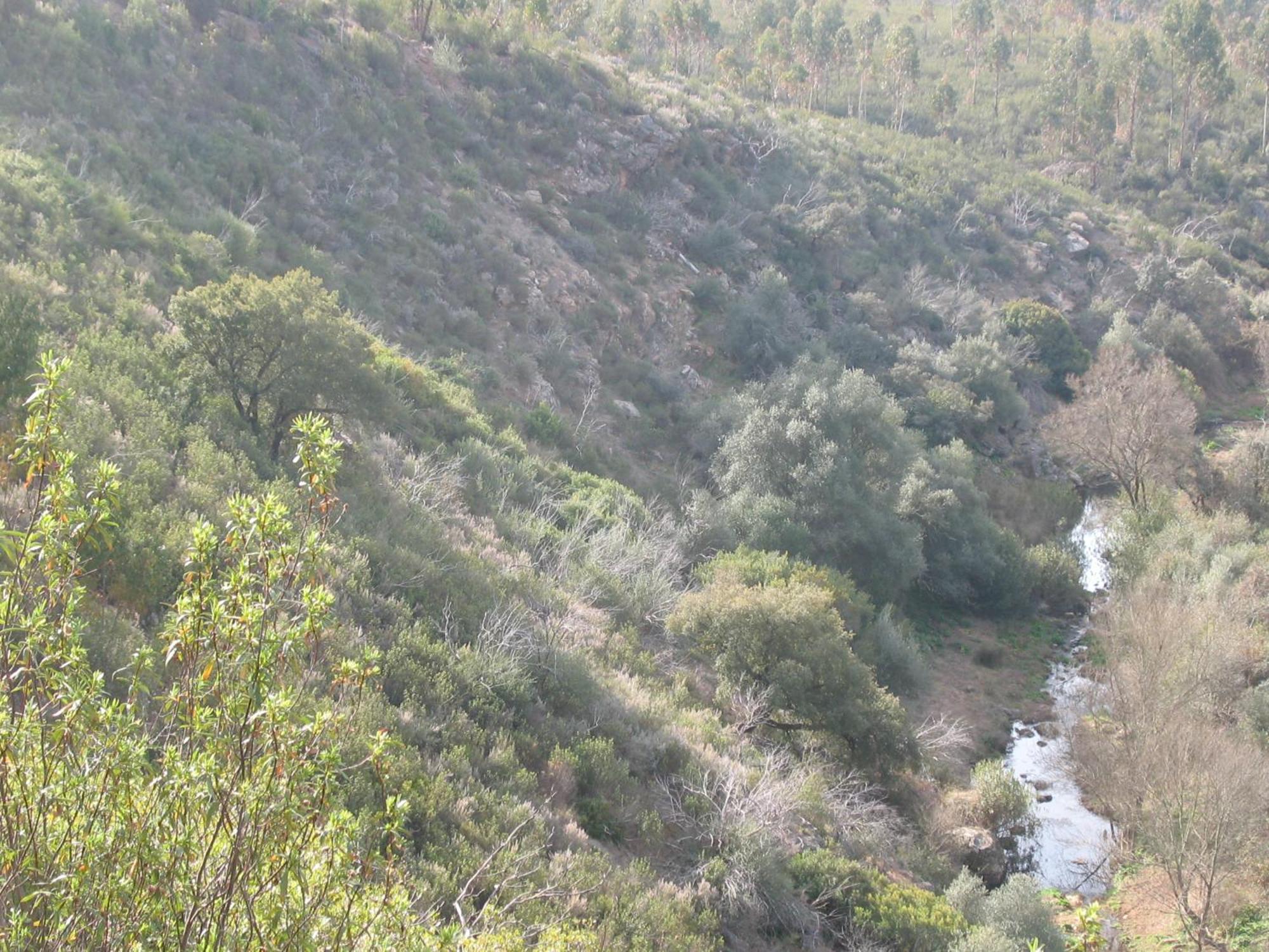 Herdade Do Rio Torto Portel Luaran gambar