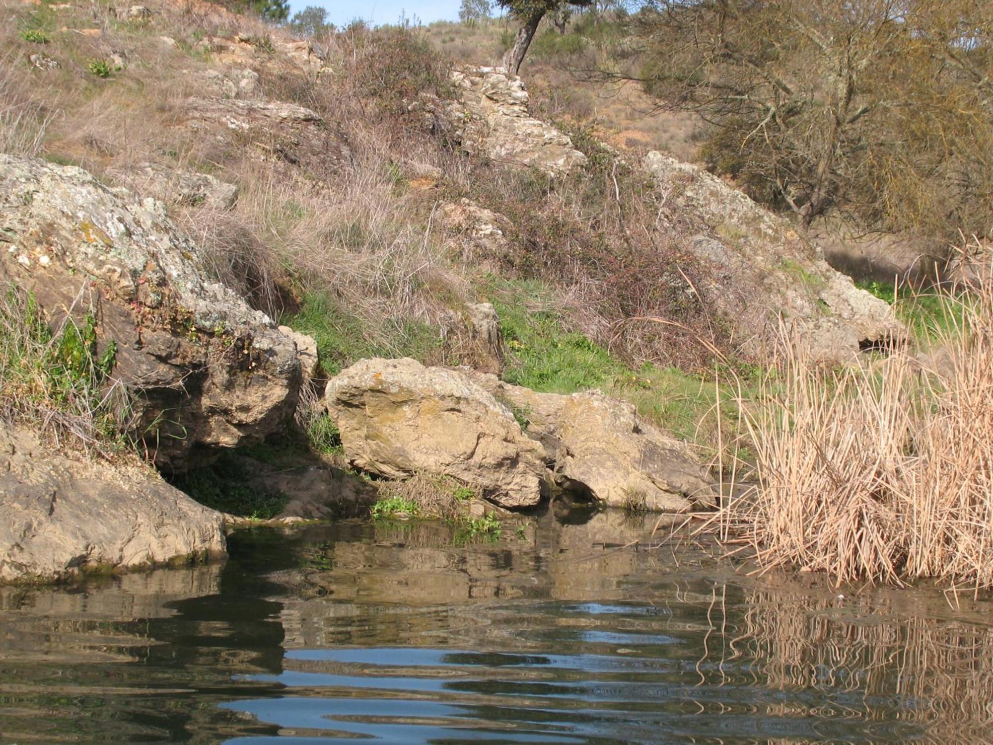 Herdade Do Rio Torto Portel Luaran gambar
