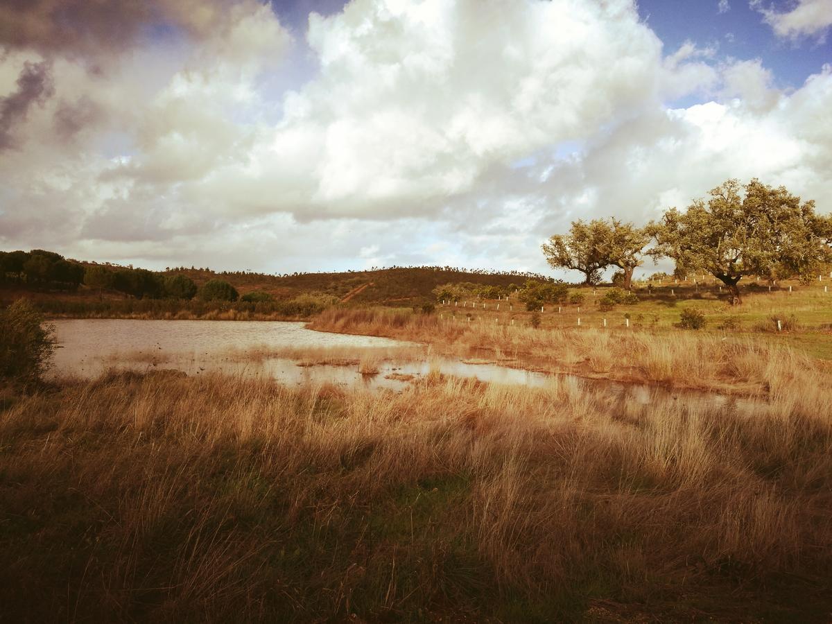 Herdade Do Rio Torto Portel Luaran gambar
