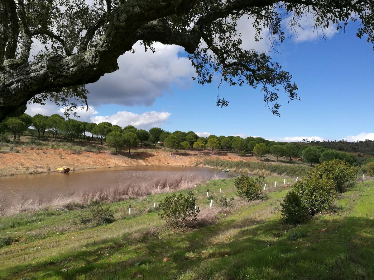 Herdade Do Rio Torto Portel Luaran gambar